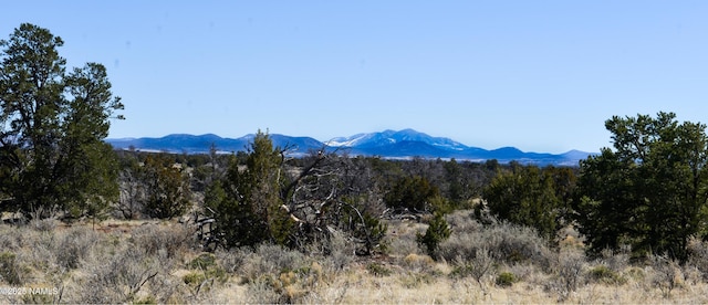 Listing photo 2 for 4755 Red Butte Rd, Williams AZ 86046