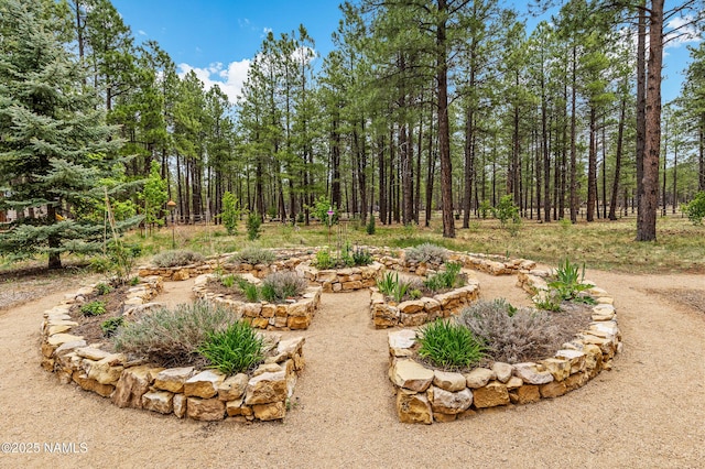 2300 W Kiltie Ln, Flagstaff, AZ 86005 - view of yard featuring a wooded view