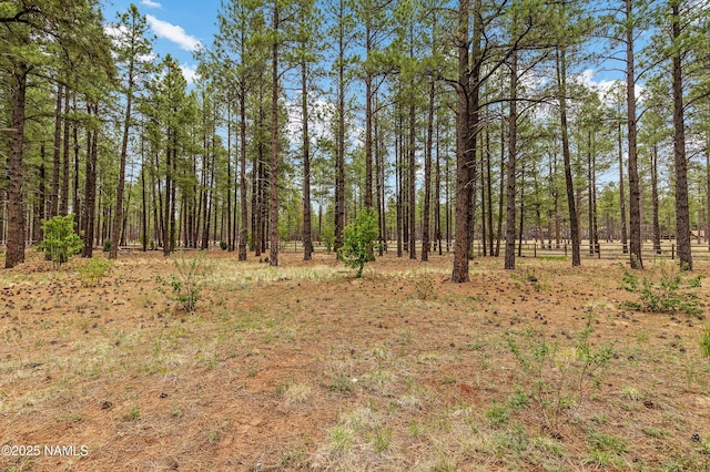 2300 W Kiltie Ln, Flagstaff, AZ 86005 - view of tree filled area