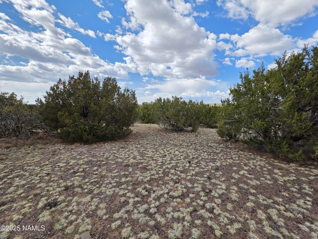 3978 Whitetail Loop, Williams, AZ 86046 - photo 19