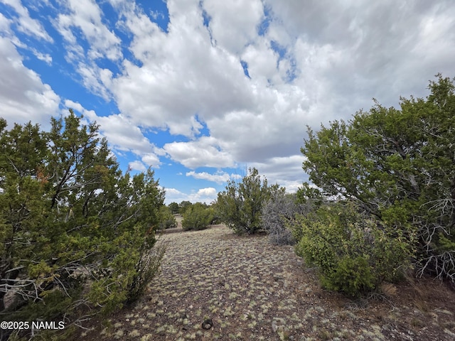 3978 Whitetail Loop, Williams, AZ 86046 - photo 4