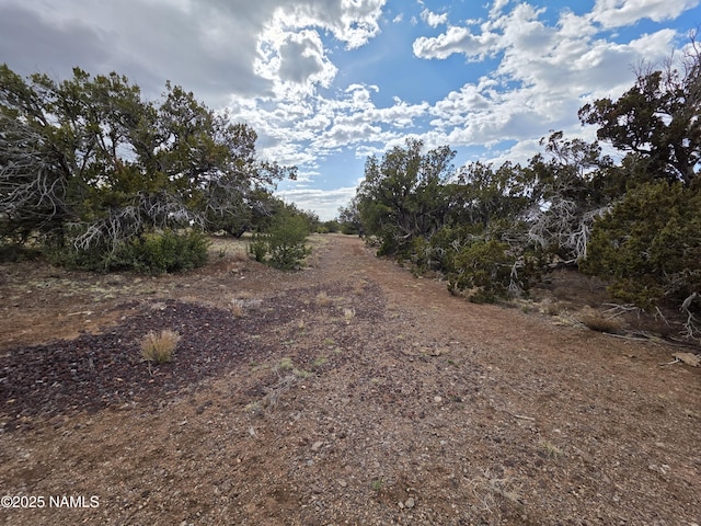 3978 Whitetail Loop, Williams, AZ 86046 - photo 8