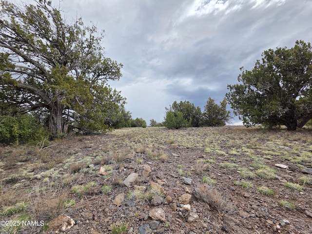 3978 Whitetail Loop, Williams, AZ 86046 - photo 17