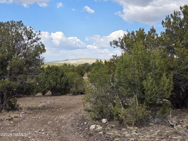 3978 Whitetail Loop, Williams, AZ 86046 - photo 15