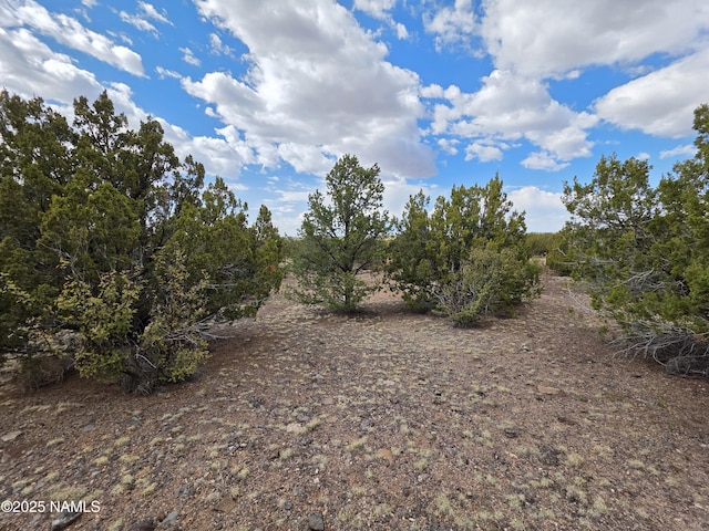 3978 Whitetail Loop, Williams, AZ 86046 - photo 3