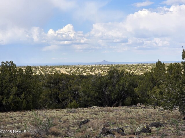 3978 Whitetail Loop, Williams, AZ 86046 - photo 23