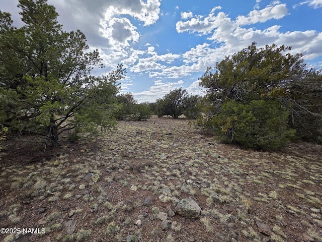 3978 Whitetail Loop, Williams, AZ 86046 - photo 10