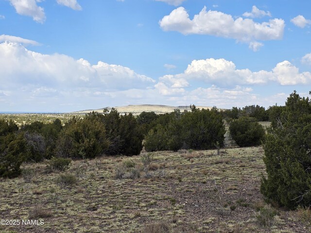 3978 Whitetail Loop, Williams, AZ 86046 - photo 21