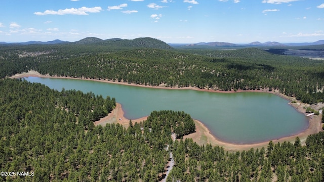 3153 Pinetree Dr, Williams, AZ 86046 - aerial view of a forest and a water and mountain view
