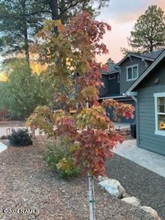 view of yard at dusk