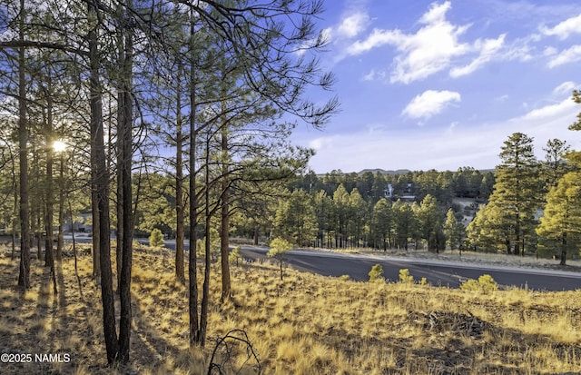 Listing photo 3 for 862 N Amberwood St, Flagstaff AZ 86004