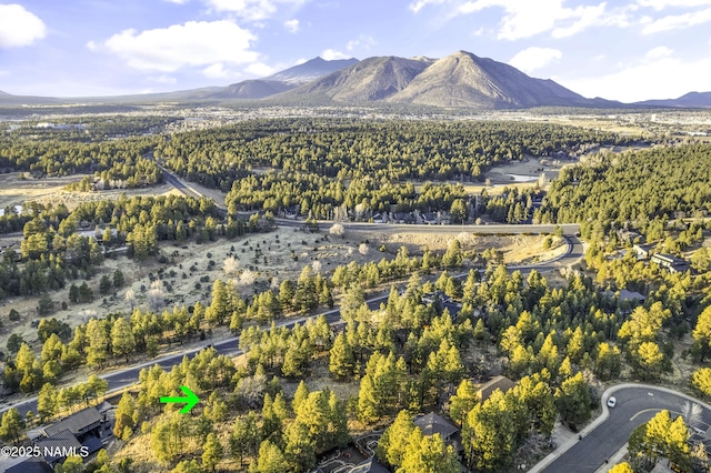 862 N Amberwood St, Flagstaff AZ, 86004 land for sale