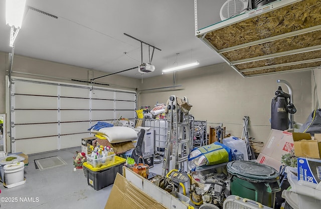 1384 W Canvasback Trl, Williams, AZ 86046 - garage with a garage door opener
