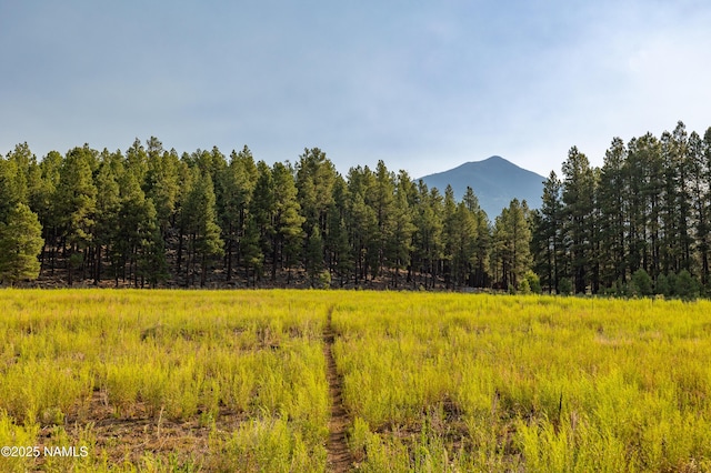 9199 Ranch At The Peaks Way, Flagstaff, AZ 86001 - photo 6