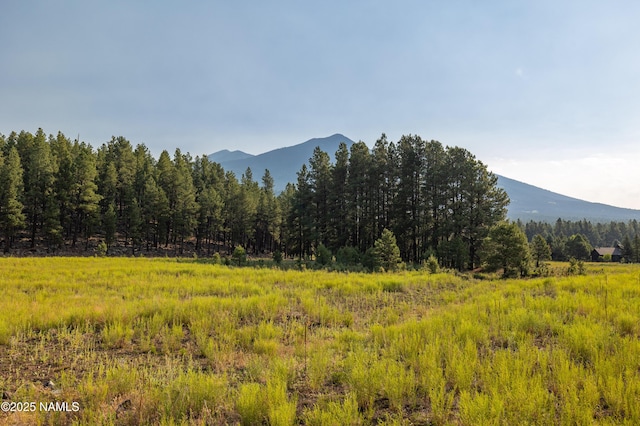 9199 Ranch At The Peaks Way, Flagstaff, AZ 86001 - photo 2