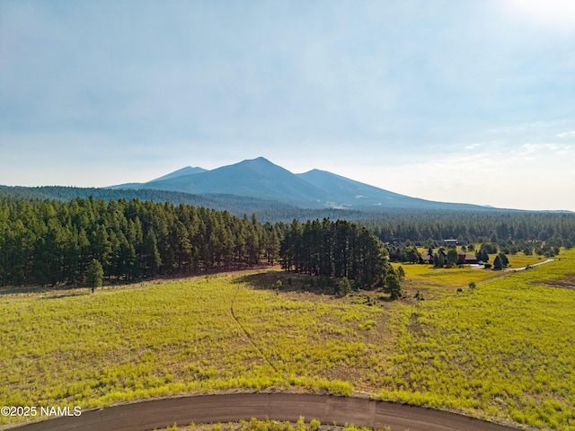 9199 Ranch At The Peaks Way, Flagstaff, AZ 86001 - photo 1