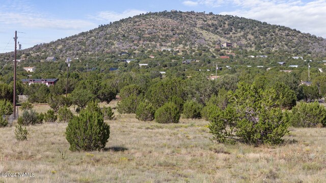 1634 E Prospect Ln Unit 713, Williams, AZ 86046