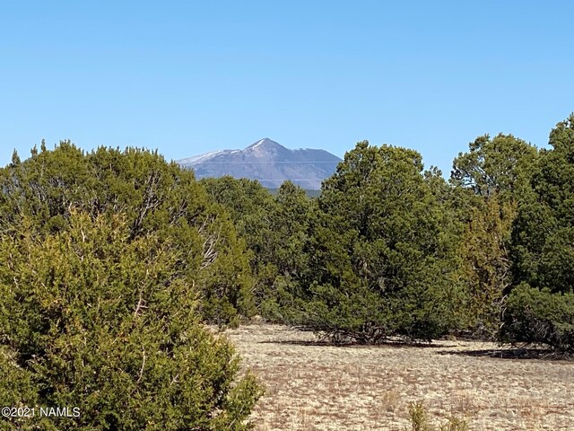 7065 Tulip Trl Unit 9, Williams, AZ 86046