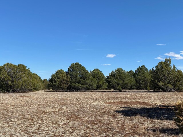7065 Tulip Trl Unit 9, Williams, AZ 86046