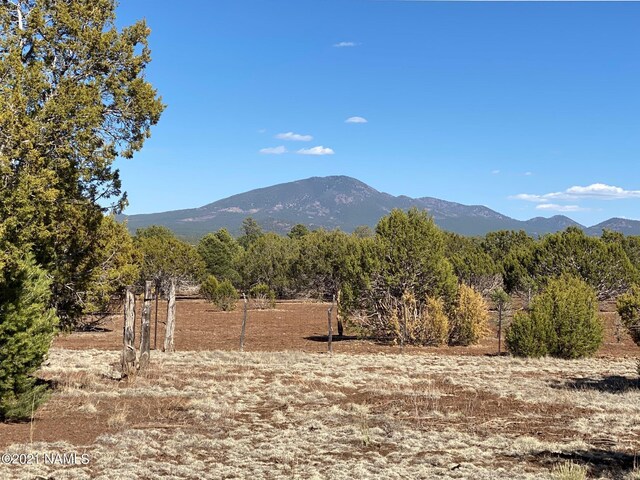 7065 Tulip Trl Unit 9, Williams, AZ 86046