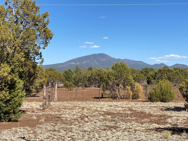 7065 Tulip Trl Unit 9, Williams AZ, 86046 land for sale