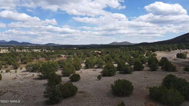 7065 Tulip Trl Unit 9, Williams, AZ 86046