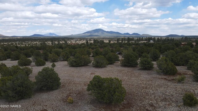 7065 Tulip Trl Unit 9, Williams, AZ 86046