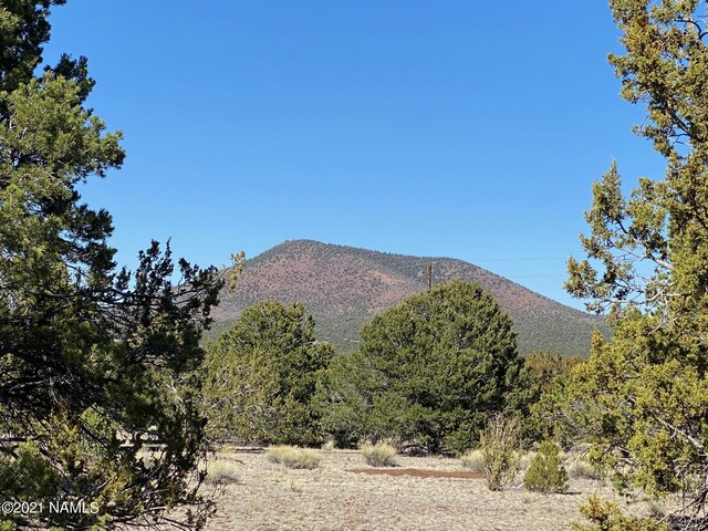 7065 Tulip Trl Unit 9, Williams, AZ 86046