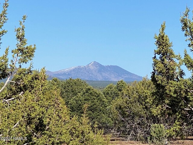 7065 Tulip Trl Unit 9, Williams, AZ 86046