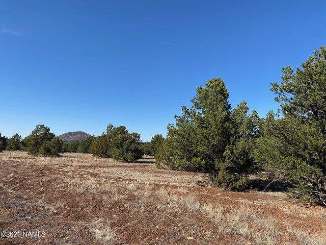 7065 Tulip Trl Unit 9, Williams, AZ 86046