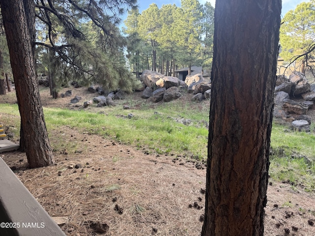 1385 W University Ave Unit 196, Flagstaff, AZ 86001 - view of yard