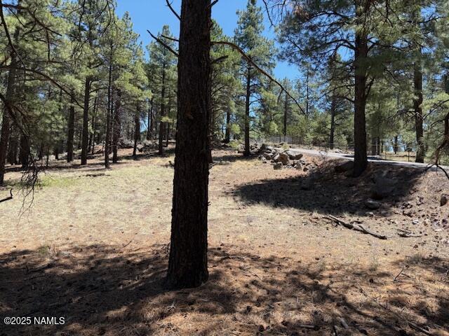 6365 River Dr, Flagstaff, AZ 86004 - photo 5