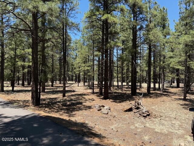 6365 River Dr, Flagstaff, AZ 86004 - photo 1