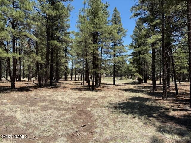6365 River Dr, Flagstaff, AZ 86004 - photo 7
