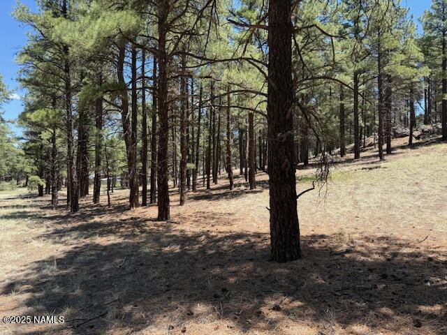 6365 River Dr, Flagstaff, AZ 86004 - photo 6