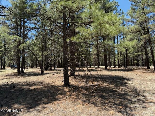 6365 River Dr, Flagstaff, AZ 86004 - photo 8