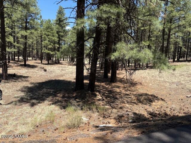 6365 River Dr, Flagstaff, AZ 86004 - photo 4