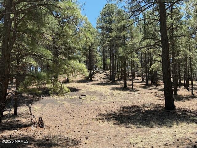 6365 River Dr, Flagstaff, AZ 86004 - photo 9