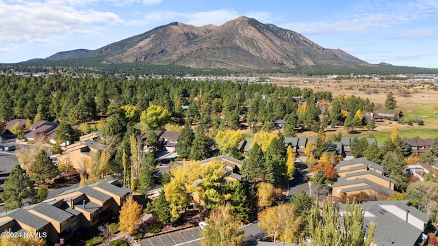 2900 N Saddleback Way Unit 9, Flagstaff, AZ 86004 - mountain view