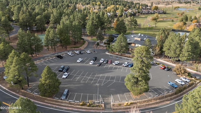 2900 N Saddleback Way Unit 9, Flagstaff, AZ 86004 - bird's eye view