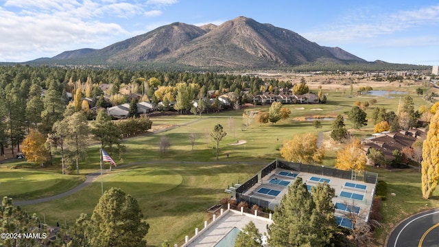 2900 N Saddleback Way Unit 9, Flagstaff, AZ 86004 - mountain view