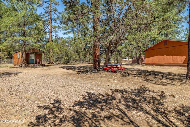 view of yard with a storage unit