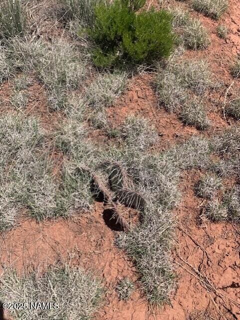 2200 Page Dr, Williams, AZ 86046 - photo 14