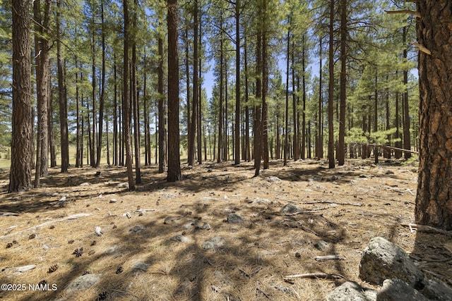 9 E Foxboro Rd Unit 14, Munds Park, AZ 86017