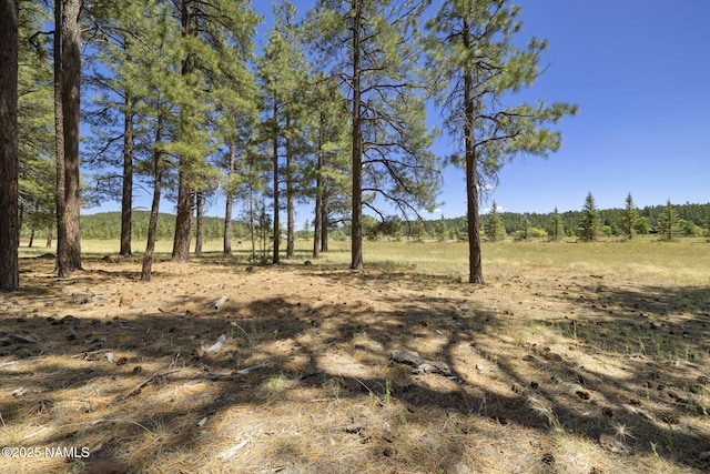 9 E Foxboro Rd Unit 14, Munds Park, AZ 86017