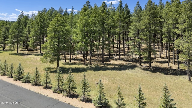 9 E Foxboro Rd Unit 14, Munds Park, AZ 86017