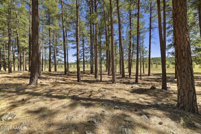 9 E Foxboro Rd Unit 14, Munds Park, AZ 86017