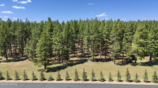 9 E Foxboro Rd Unit 14, Munds Park, AZ 86017