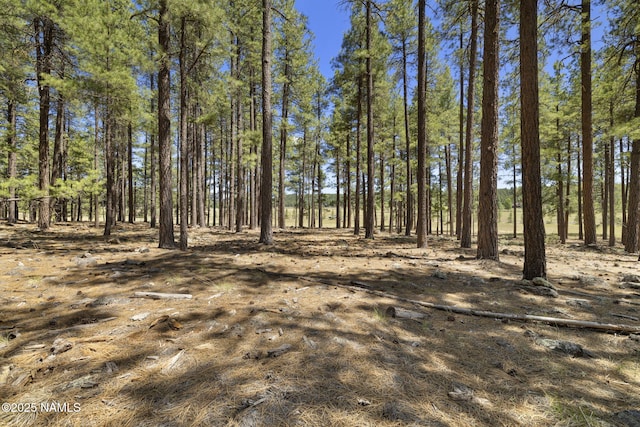 9 E Foxboro Rd Unit 14, Munds Park, AZ 86017