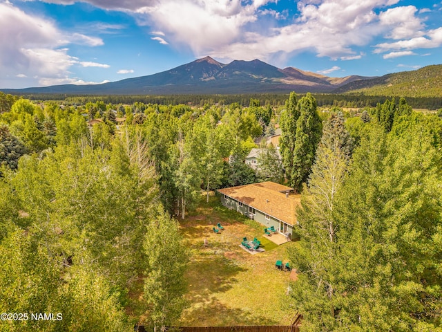2829 N Erin Way, Flagstaff, AZ 86001 - photo 4